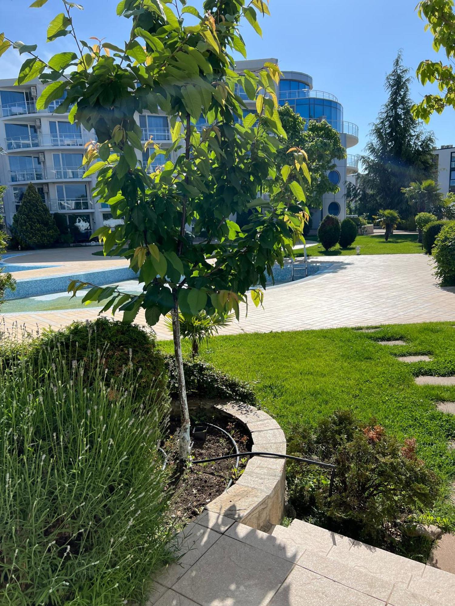 Apartment With Terrace In Spa Complex 부르가스 외부 사진